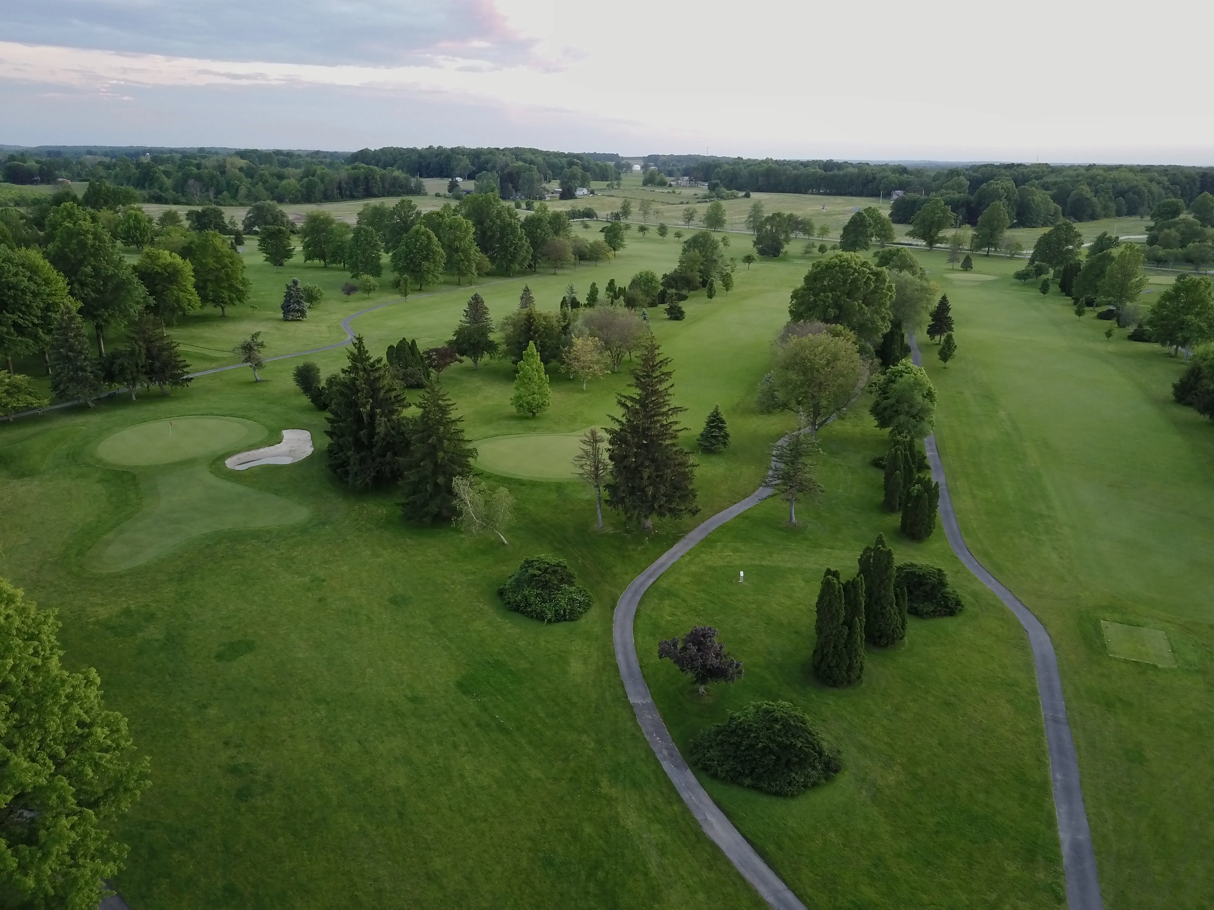 Aerial view of golf course with trees